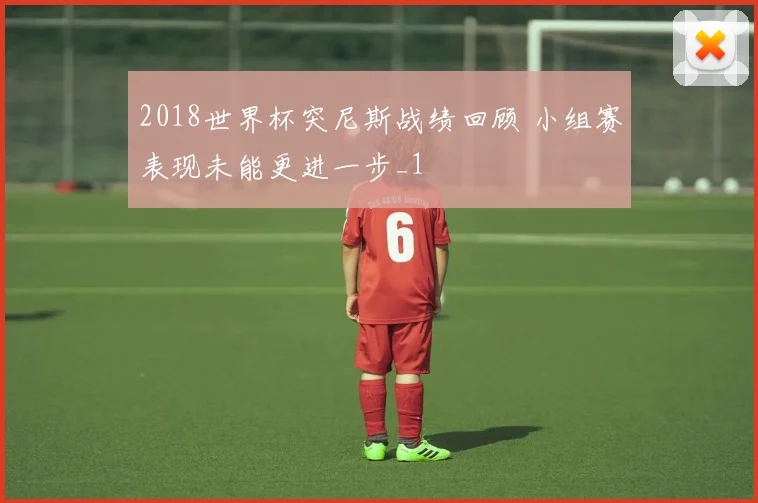 2018世界杯突尼斯战绩回顾 小组赛表现未能更进一步_1