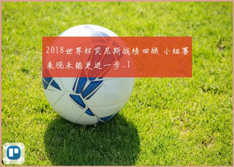 2018世界杯突尼斯战绩回顾 小组赛表现未能更进一步_1