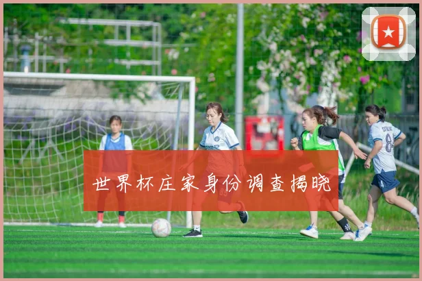 世界杯庄家身份调查揭晓