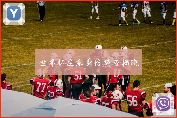 世界杯庄家身份调查揭晓