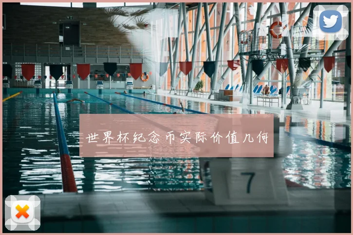 世界杯纪念币实际价值几何