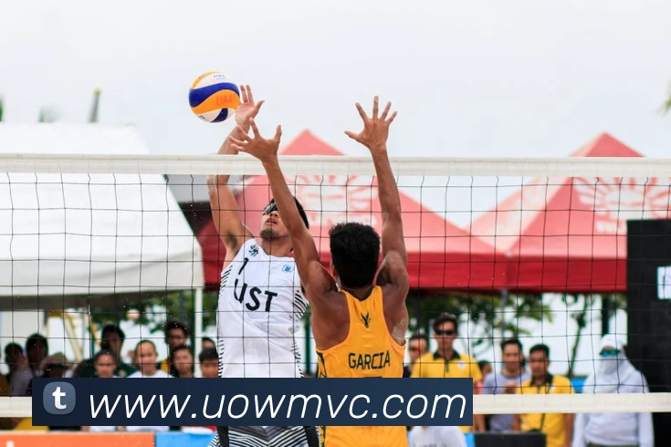 多媒体互动体验